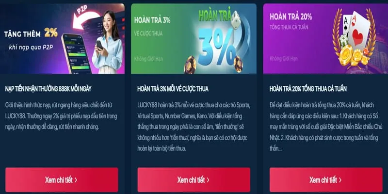 Người chơi đang đặt cược trên Luck8882 Win
